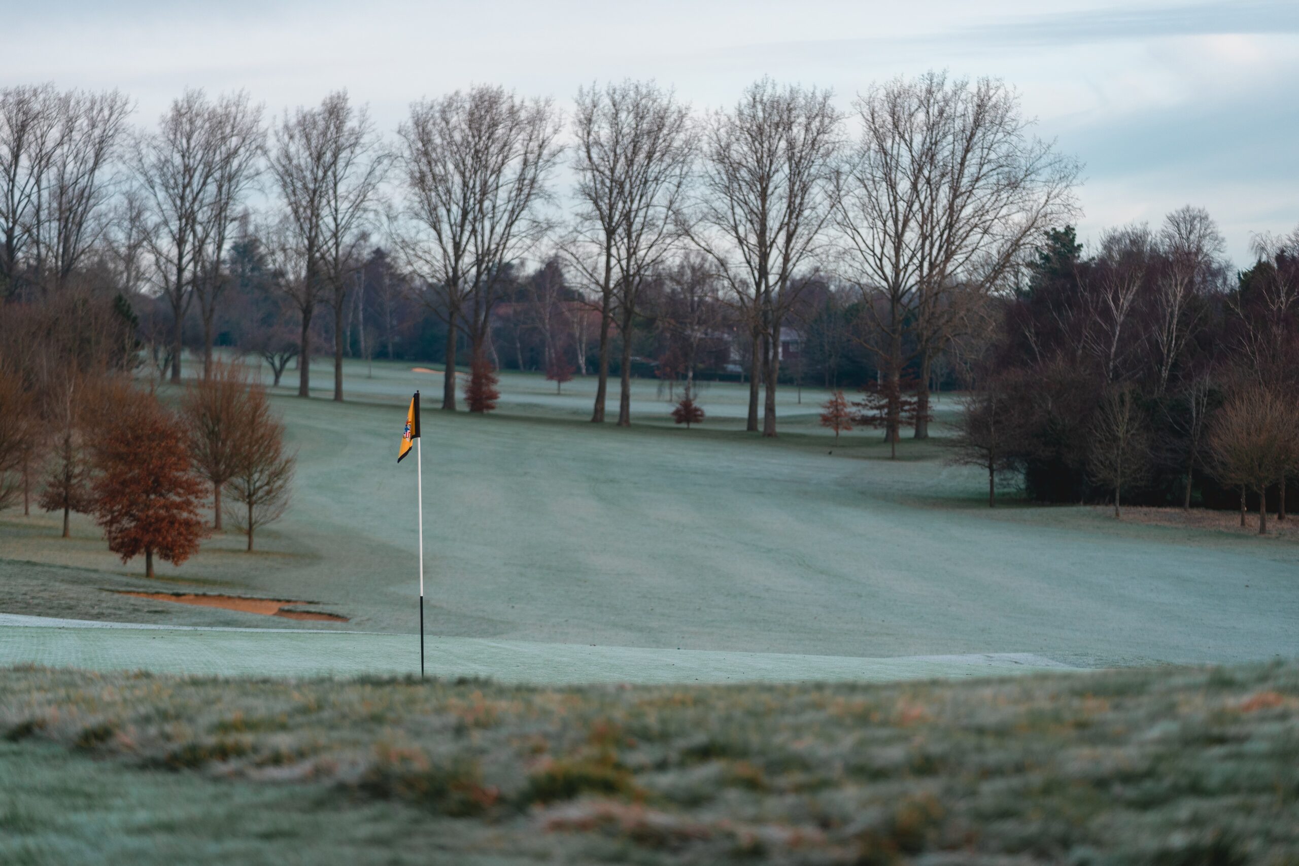 A golf course during winter with a frosty fairway and naked trees in the background.